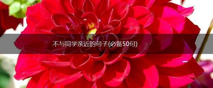 不与同学亲近的句子(必备50句),第1张