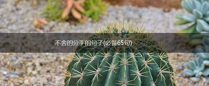 不舍的分手的句子(必备65句),第1张