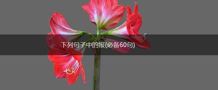 下列句子中的报(必备60句),第1张
