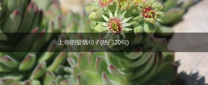 上帝的爱情句子(热门20句),第1张