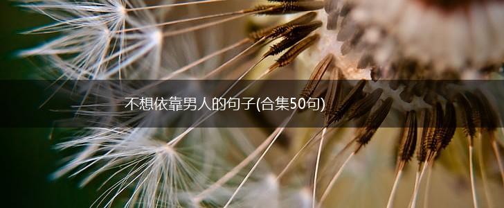 不想依靠男人的句子(合集50句),第1张