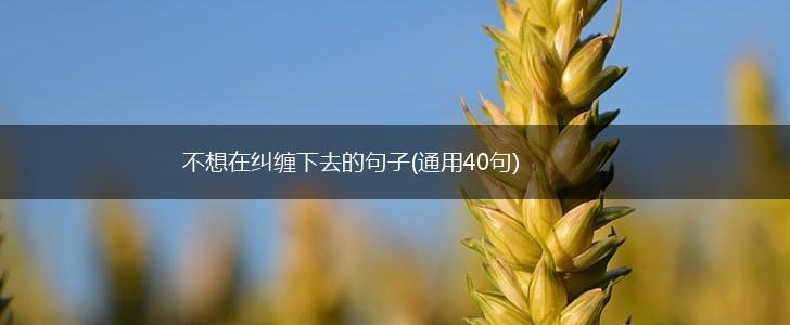不想在纠缠下去的句子(通用40句),第1张