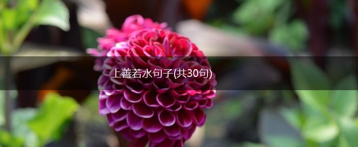 上善若水句子(共30句),第1张