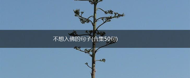 不想入佛的句子(合集50句),第1张
