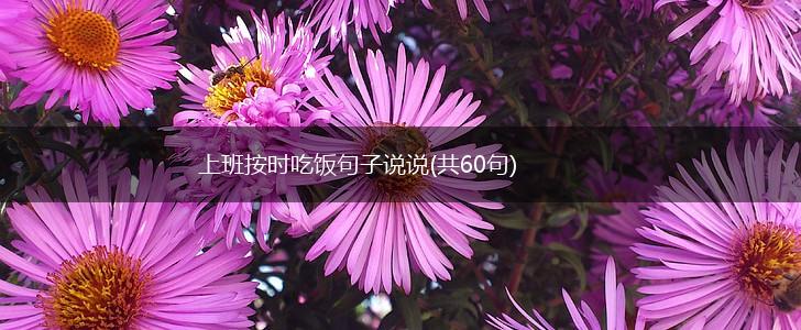 上班按时吃饭句子说说(共60句),第1张