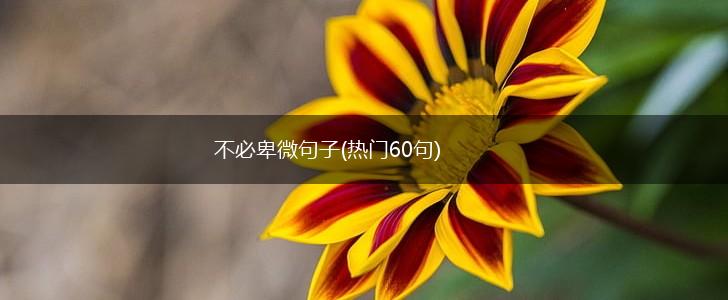不必卑微句子(热门60句),第1张