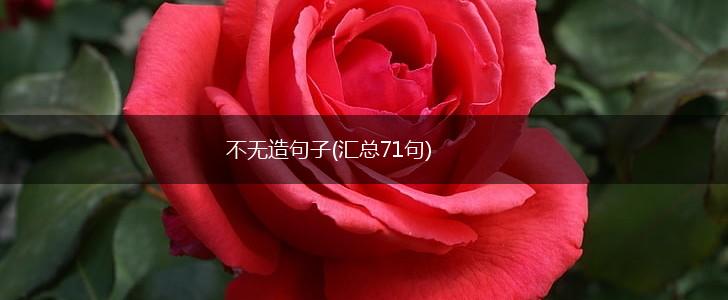 不无造句子(汇总71句),第1张