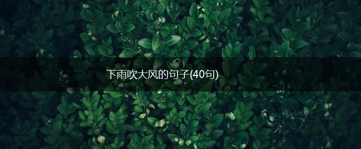 下雨吹大风的句子(40句),第1张