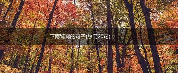 下雨鹭鸶的句子(热门20句),第1张