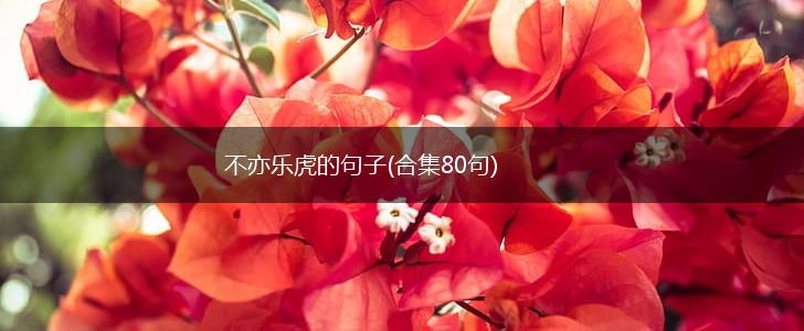 不亦乐虎的句子(合集80句),第1张