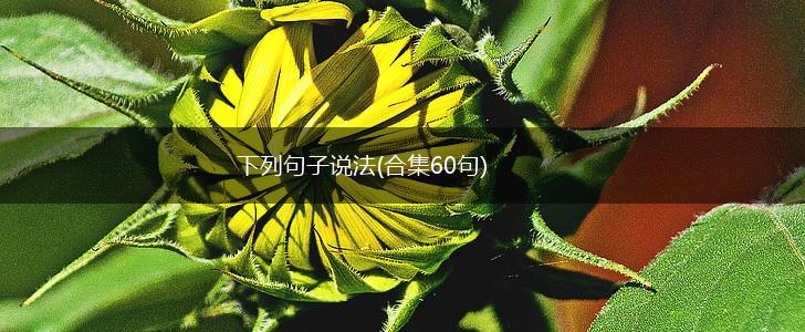 下列句子说法(合集60句),第1张