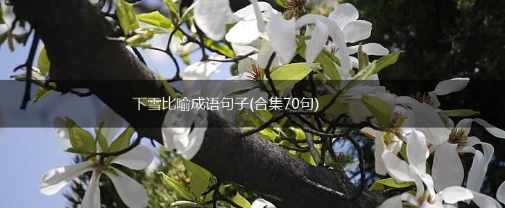 下雪比喻成语句子(合集70句),第1张