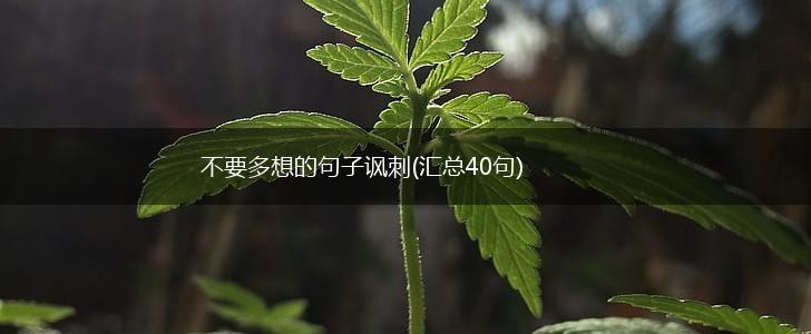 不要多想的句子讽刺(汇总40句),第1张