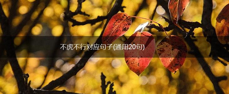 不虎不行对应句子(通用20句),第1张