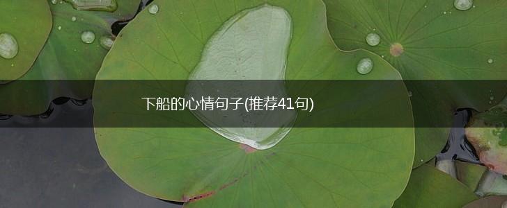 下船的心情句子(推荐41句),第1张