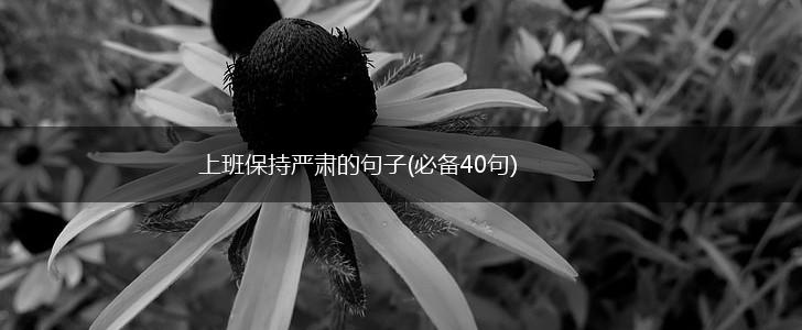 上班保持严肃的句子(必备40句),第1张