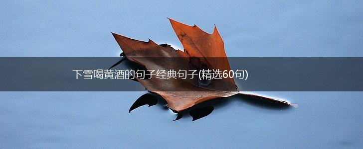 下雪喝黄酒的句子经典句子(精选60句),第1张