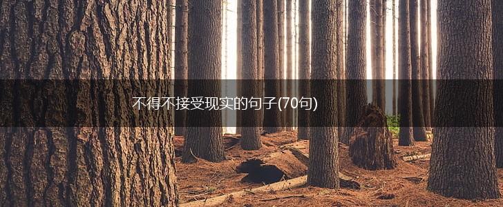 不得不接受现实的句子(70句),第1张