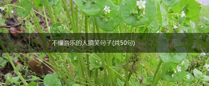 不懂音乐的人搞笑句子(共50句),第1张