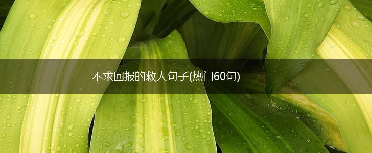 不求回报的救人句子(热门60句),第1张