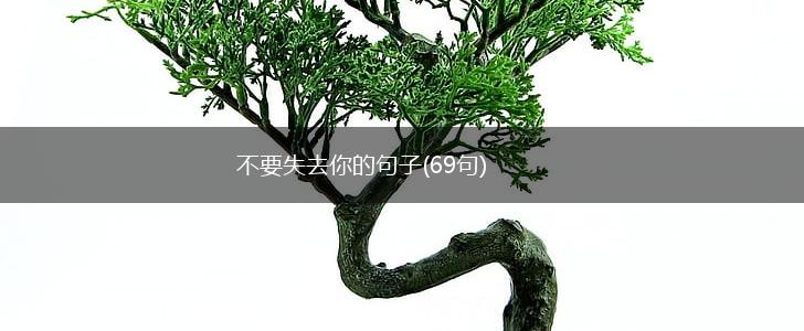不要失去你的句子(69句),第1张