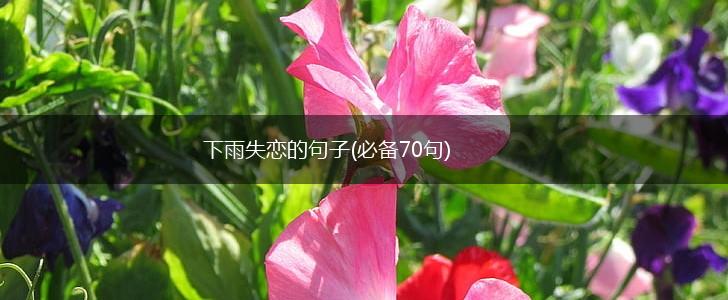 下雨失恋的句子(必备70句),第1张