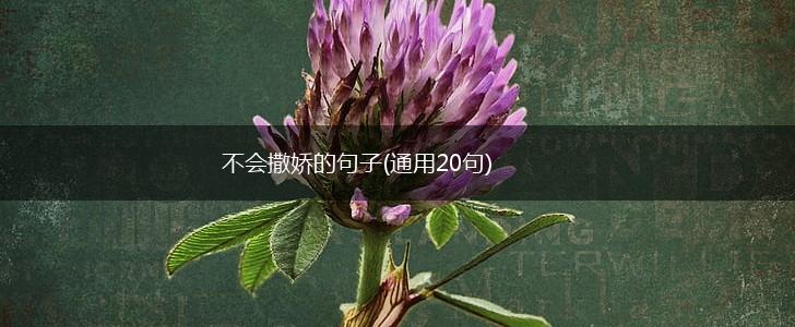 不会撒娇的句子(通用20句),第1张