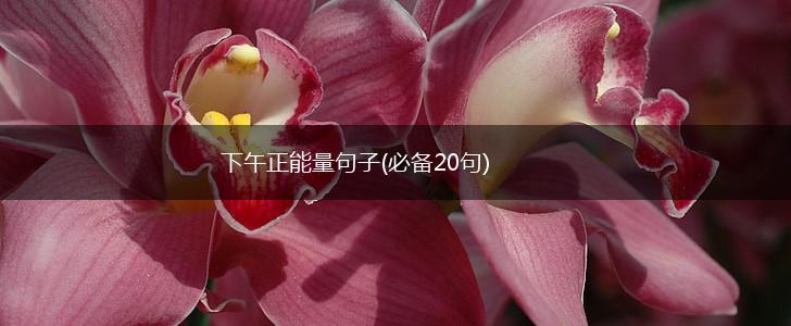 下午正能量句子(必备20句),第1张