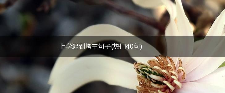 上学迟到堵车句子(热门40句),第1张