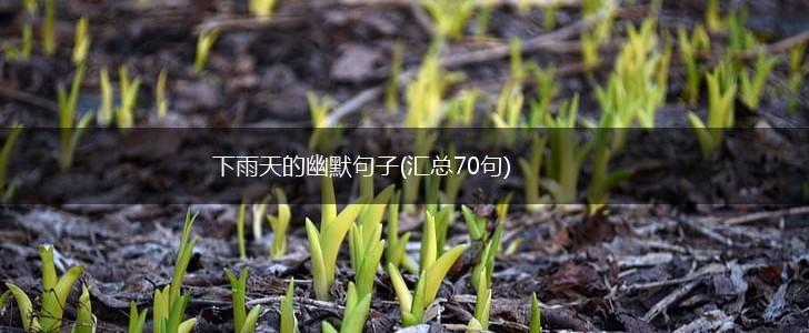 下雨天的幽默句子(汇总70句),第1张