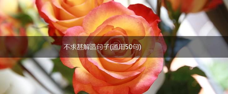 不求甚解造句子(通用50句),第1张