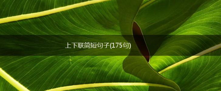 上下联简短句子(175句),第1张