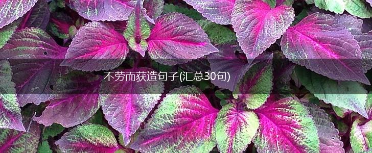 不劳而获造句子(汇总30句),第1张