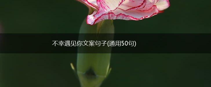 不幸遇见你文案句子(通用50句),第1张
