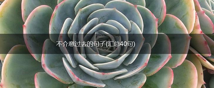 不介意过去的句子(汇总40句),第1张