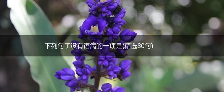 下列句子没有语病的一项是(精选80句),第1张