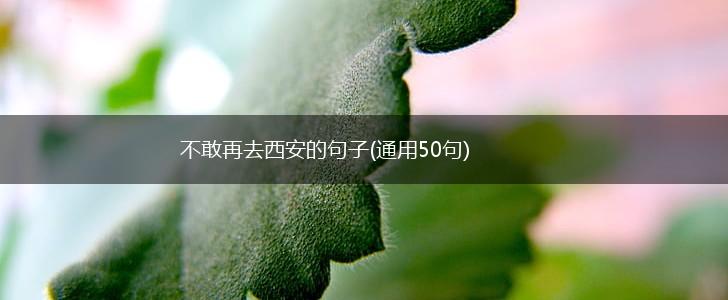 不敢再去西安的句子(通用50句),第1张