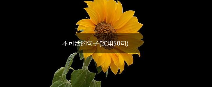 不可活的句子(实用50句),第1张