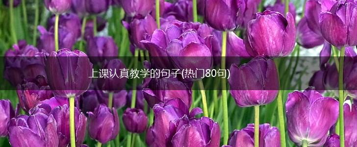 上课认真教学的句子(热门80句),第1张