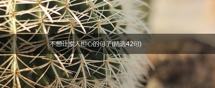 不想让家人担心的句子(精选42句),第1张