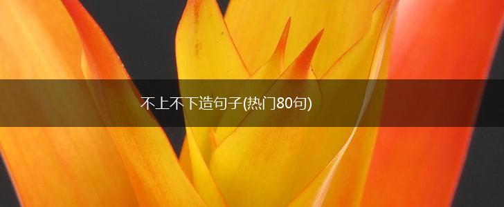 不上不下造句子(热门80句),第1张