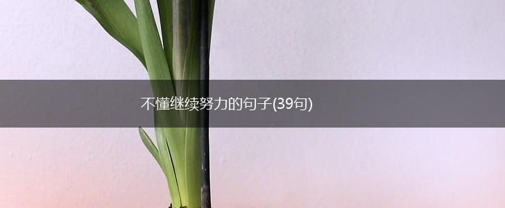 不懂继续努力的句子(39句),第1张