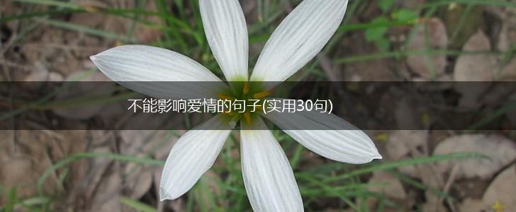 不能影响爱情的句子(实用30句),第1张