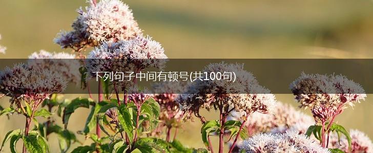 下列句子中间有顿号(共100句),第1张