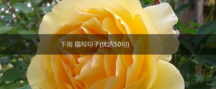 下雨 描写句子(优选50句),第1张