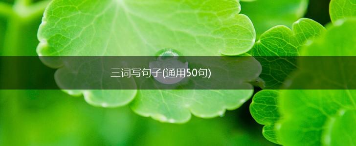 三词写句子(通用50句),第1张