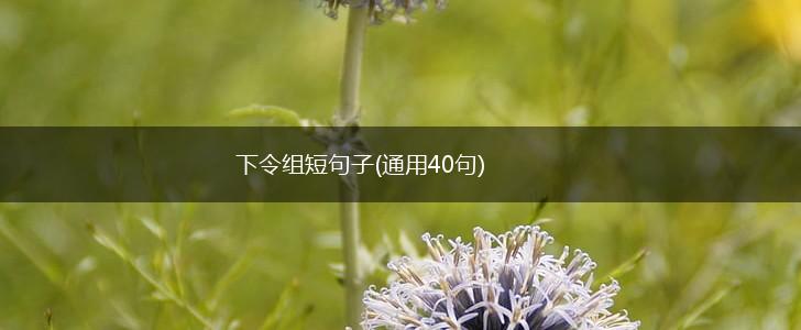 下令组短句子(通用40句),第1张