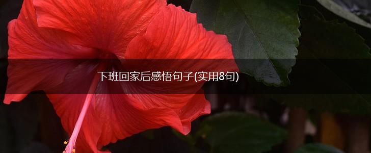 下班回家后感悟句子(实用8句),第1张