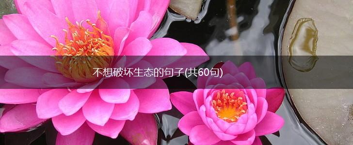 不想破坏生态的句子(共60句),第1张