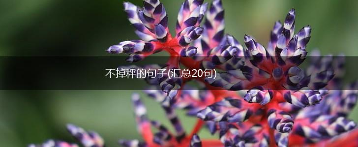 不掉秤的句子(汇总20句),第1张